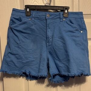Judy Blue Frayed Hem Shorts